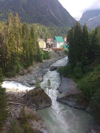 River flowing amidst trees and buildings in forest