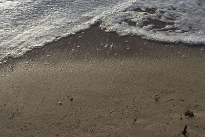 High angle view of footprints on wet sand