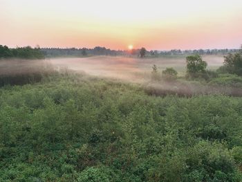 Scenic view of field against sky during foggy weather