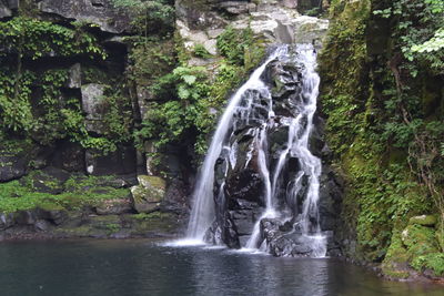 Scenic view of waterfall in forest