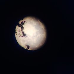 Low angle view of moon in sky