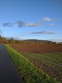 Scenic view of agricultural field against sky