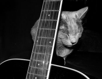 Close-up of a guitar