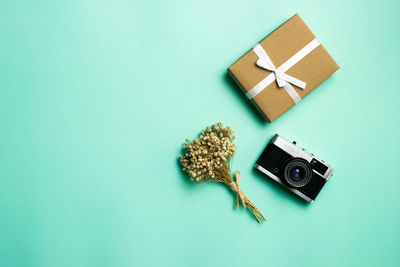 Gift box, camera and flowers over the green background.