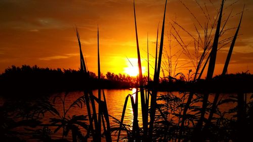 Scenic view of sunset over sea