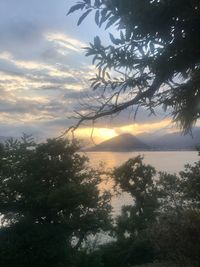 Silhouette trees by sea against sky during sunset