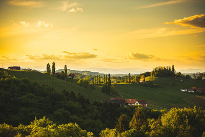 Sunset over south styria vineyard landscape in steiermark, austria. beautiful tranquil destination 