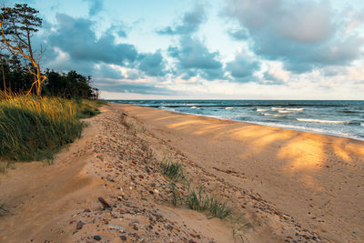 Scenic view of beach against sky