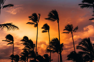 Silhouette of trees against dramatic sky