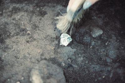 Low section of woman standing on rock