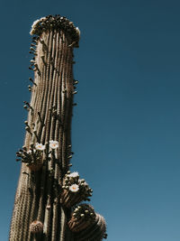 Low angle view of building against clear blue sky