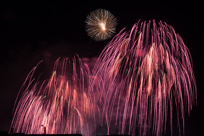 Firework display at night