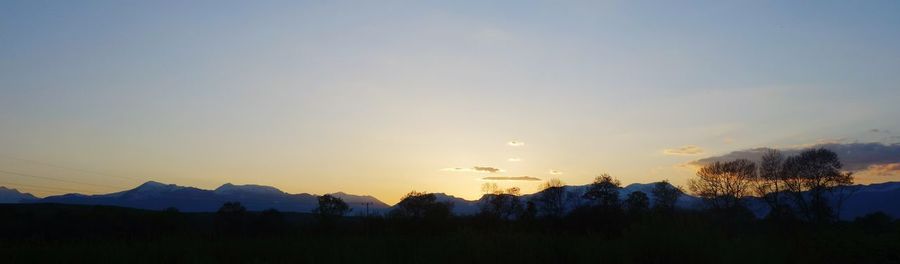 Silhouette trees against sky during sunset