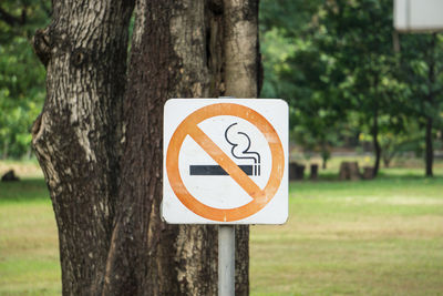 Close-up of warning sign on tree trunk