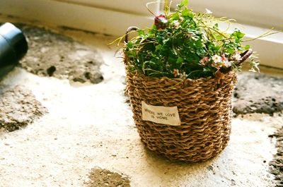 Close-up of text on wall