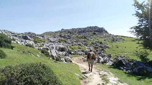 Rear view of hiker walking on mountain