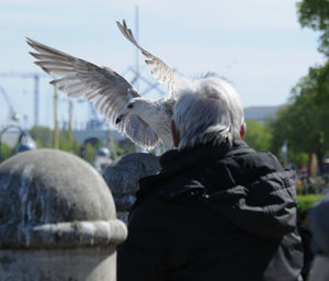 Rear view of man and birds flying against sky