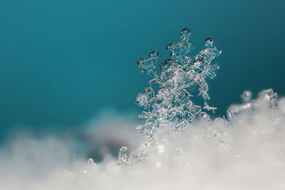 Close-up of frozen water