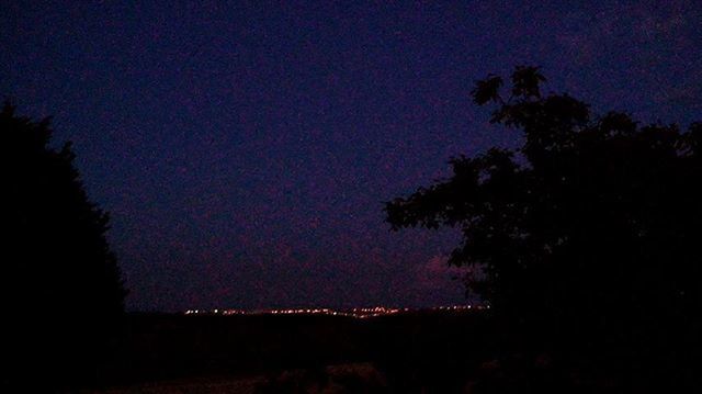 night, tree, silhouette, tranquil scene, tranquility, scenics, beauty in nature, copy space, sky, dark, landscape, illuminated, nature, clear sky, idyllic, dusk, field, outdoors, low angle view, moon