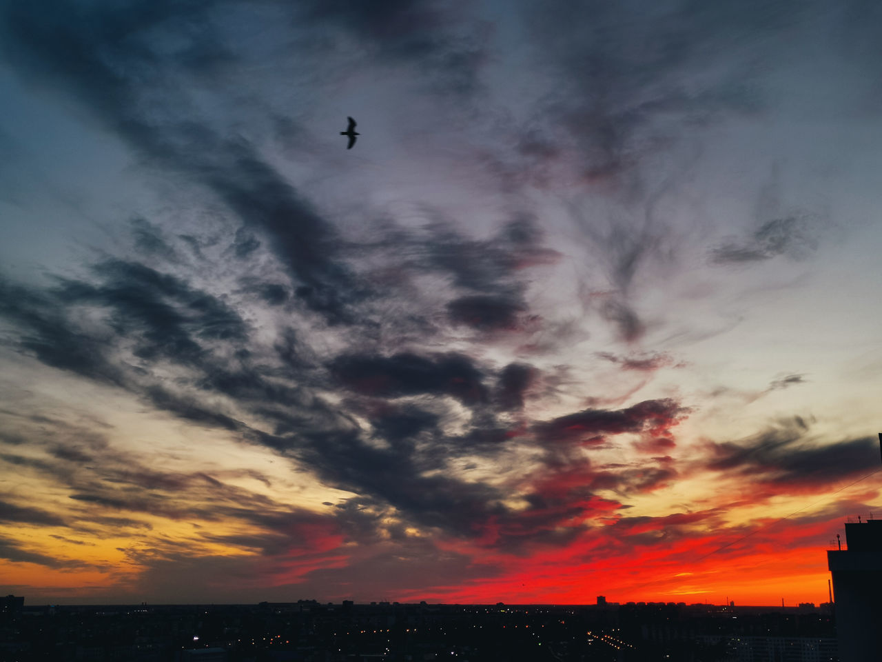 LOW ANGLE VIEW OF SILHOUETTE BIRDS FLYING AGAINST SKY