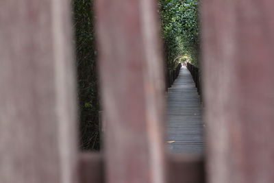 Blurred motion of person walking on footpath