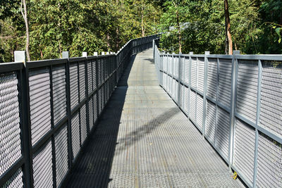 Footbridge over footpath in forest