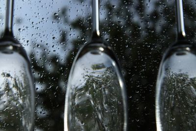 Close-up of drinking glass against wet window