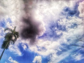 Low angle view of trees against cloudy sky