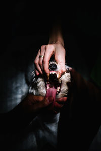 High angle view of man holding hands in darkroom