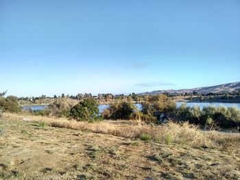 Scenic view of landscape against clear blue sky
