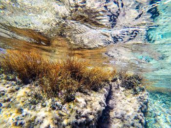 Full frame shot of water