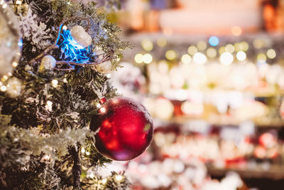 Close-up of christmas tree