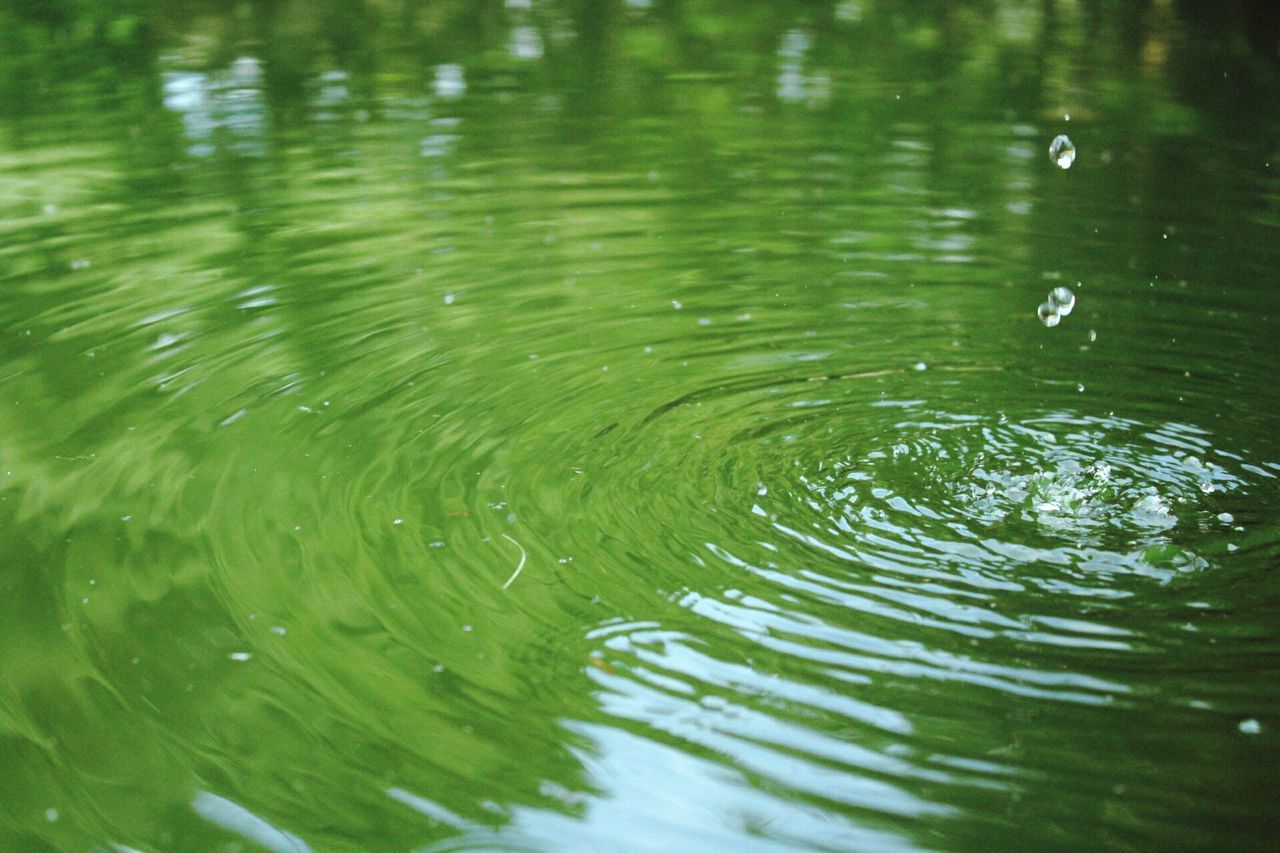 water, nature, rippled, green color, drop, beauty in nature, outdoors, close-up, concentric, tranquility, day, no people, backgrounds, freshness