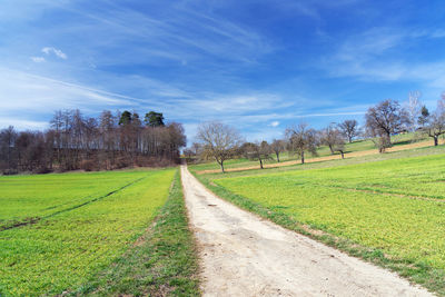 Dirt road amidst field against sky