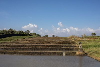 Scenic view of agricultural field against sky