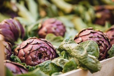 Close-up of fresh vegetables in market