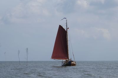 Sailboat sailing on sea against sky