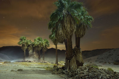 Night time long exposure desert scene in anza borrego national p