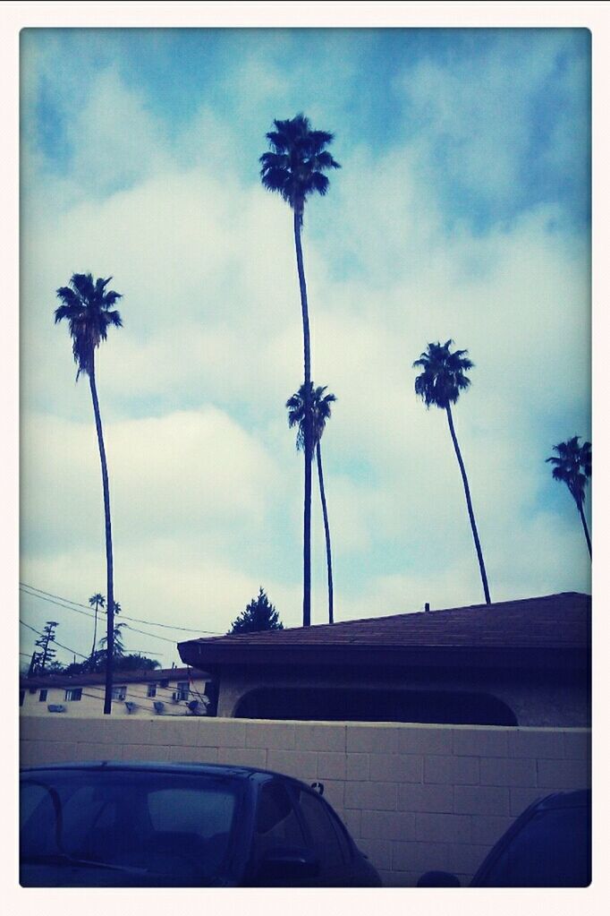 Loving this weather #LABaby