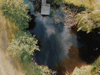 High angle view of trees by river in forest