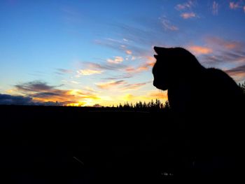 Silhouette dog against sky during sunset