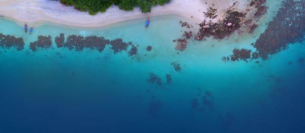 Man swimming in sea