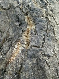 Full frame shot of cracked surface