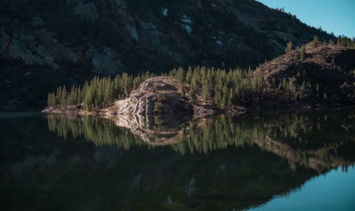 Scenic view of lake by trees in forest