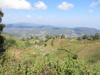 Scenic view of agricultural field against sky