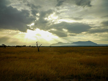 Scenic view of field against sky during sunset