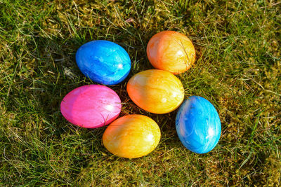 High angle view of eggs on field