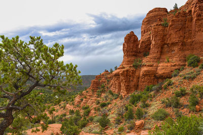 Sedona red rocks