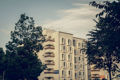 Low angle view of tree and building against sky