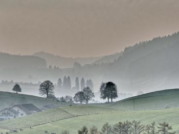 Scenic view of rural landscape